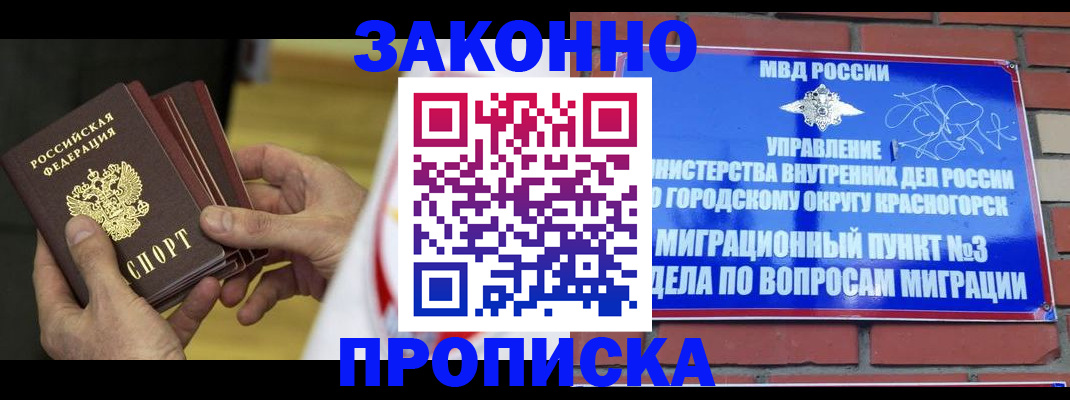прописка для школы в Мончегорске