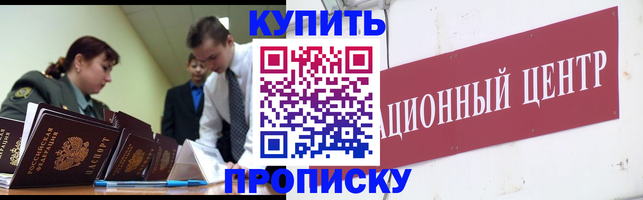 прописка поиск в Мончегорске